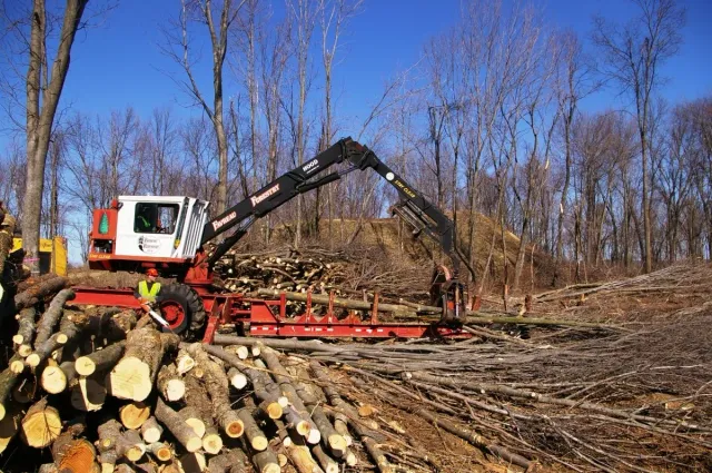 Favreau Forestry gallery photo 9