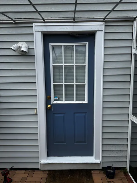 Entrance door after painting