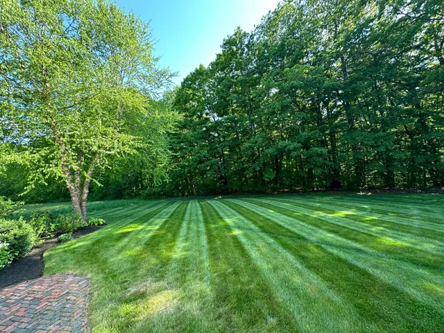 WJD Landscapes work photo