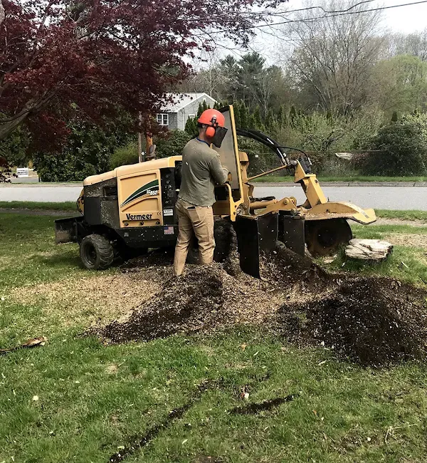 work photo from bigbeaverstumpgrinding.com