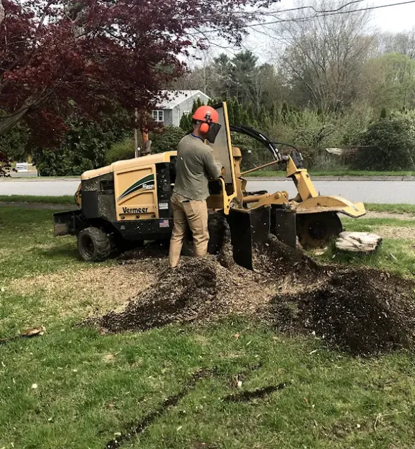 work photo from bigbeaverstumpgrinding.com