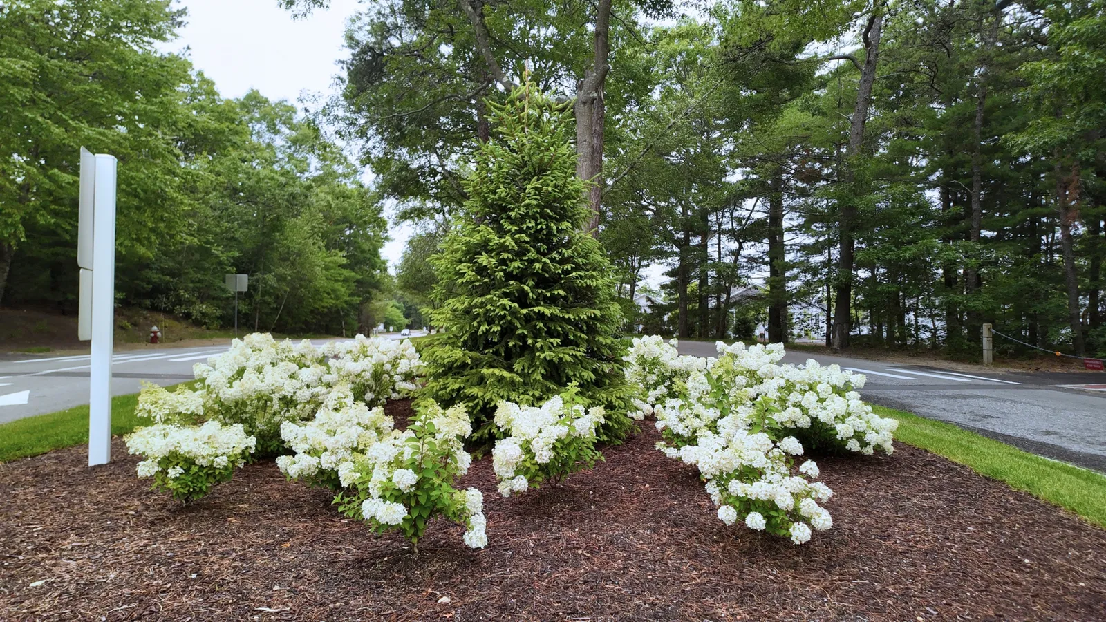 work photo from eganlandscapegroup.com