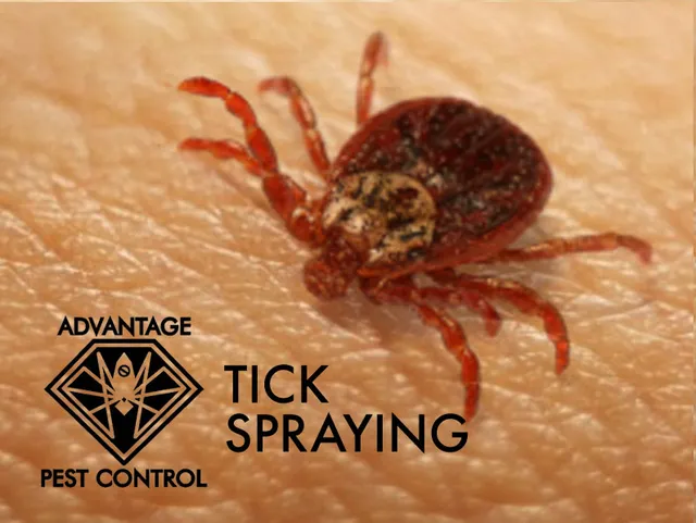 work photo from advantagepestcontrolinc.com