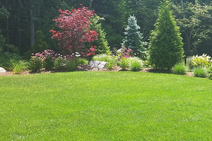 work photo from barcellosandkanelandscaping.com