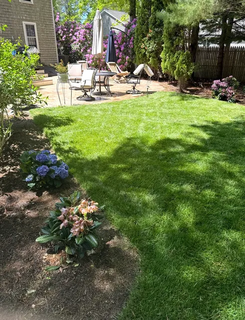 BLR landscape work photo
