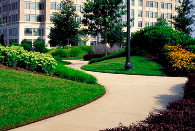 work photo from modernlandscapinganddesign.com