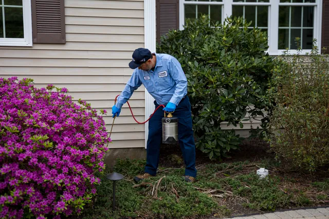 Big Blue Bug Solutions work photo
