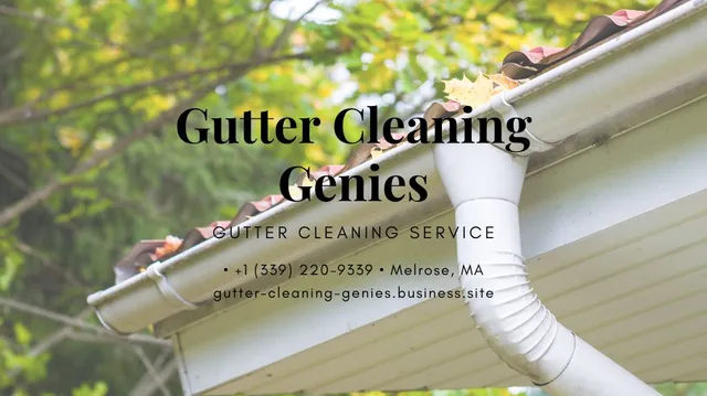 Gutter Cleaning Genies work photo