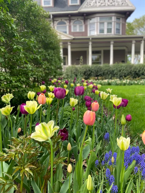 work photo from thegardenconcierge.com