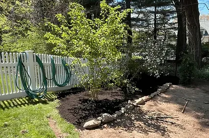 transform Your Property with Custom Landscaping