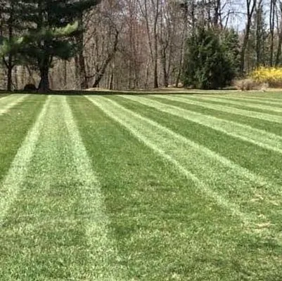 Done For You Landscaping researched project photo