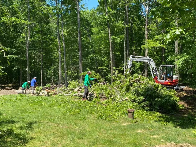 Rivera Tree Services work photo