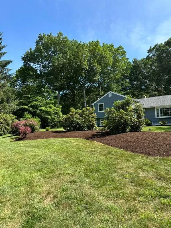 Mulch Installation
