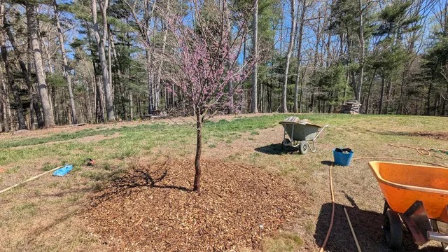 work photo from valleytreepreservation.com