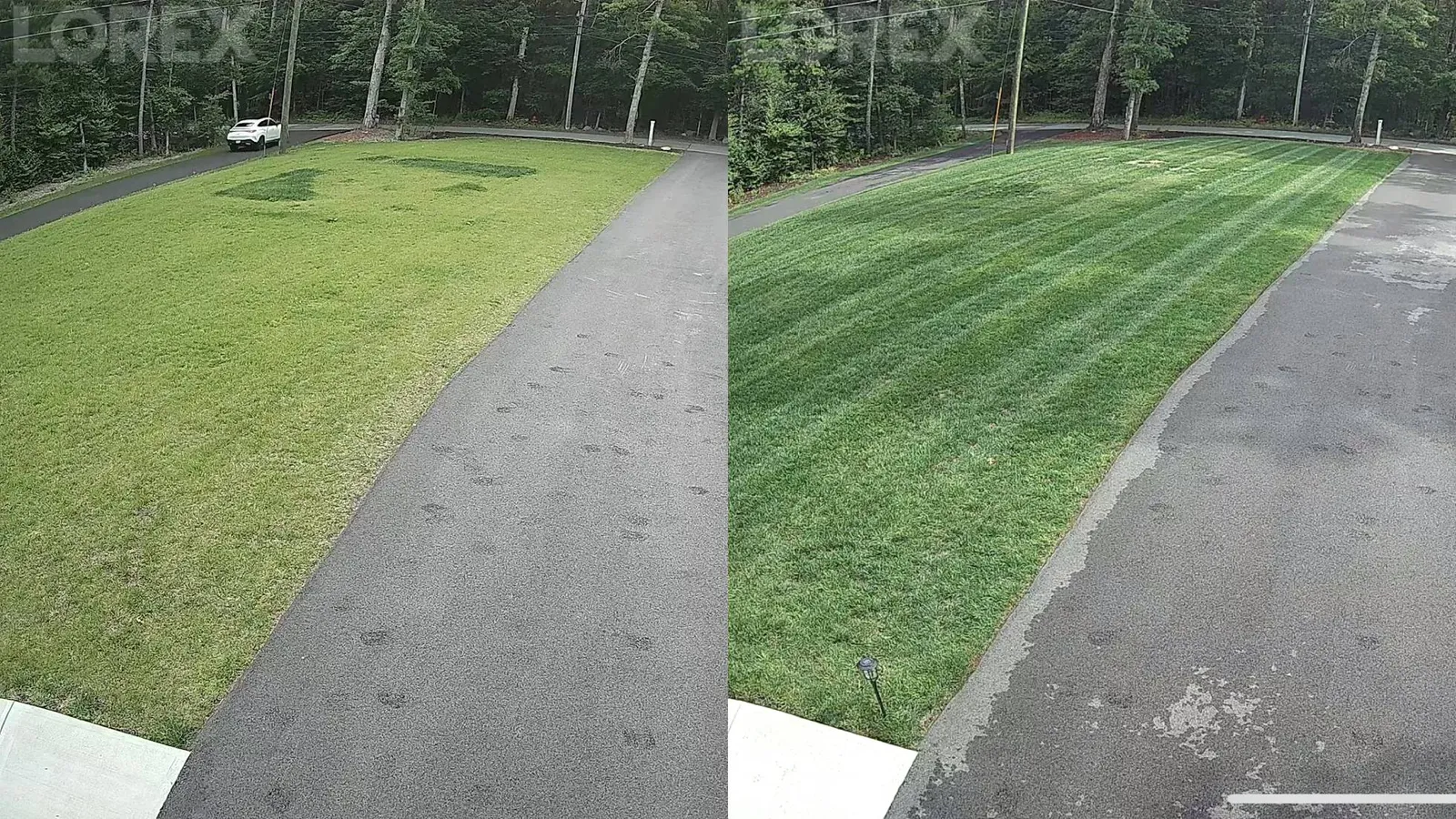 Lawn Color Correction Using Fertilizer in Taunton, MA Thumbnail