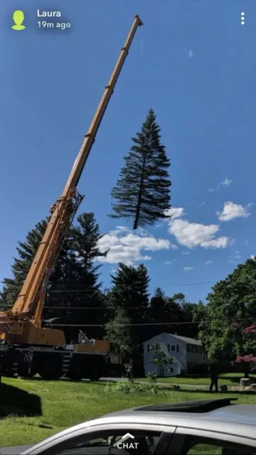 work photo from m-mtrees.com