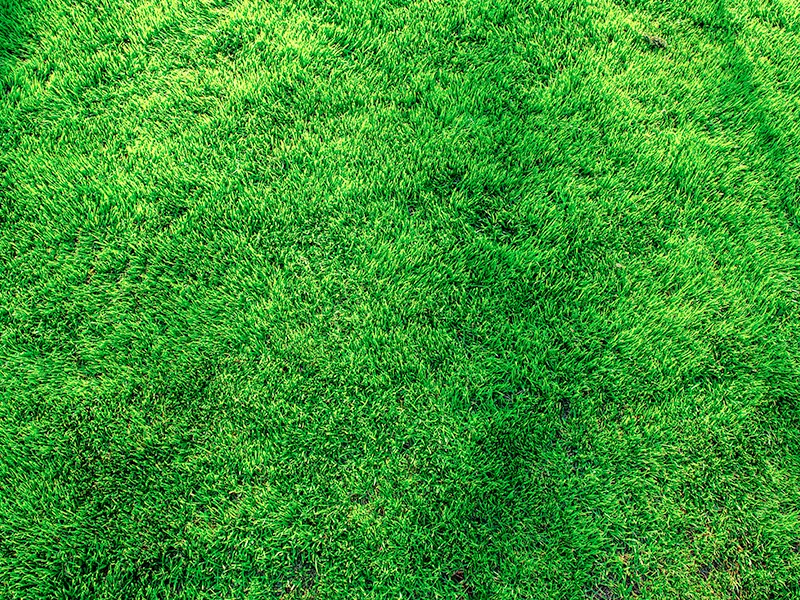 work photo from turfproslawncare.com