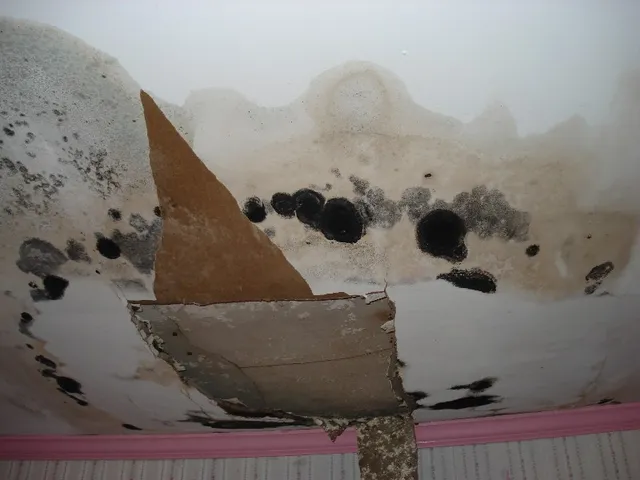 JRV Home Inspection Services, LLC researched project photo