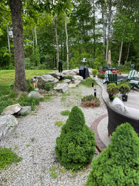Before - lawn 4