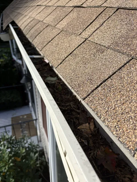 Packed leaves and roof debris inside a gutter before cleaning