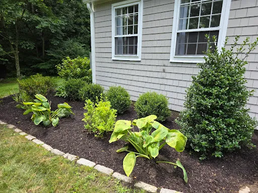 Lifetime Landscaping work photo