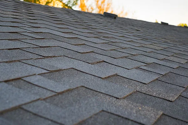 Roof cleaning services