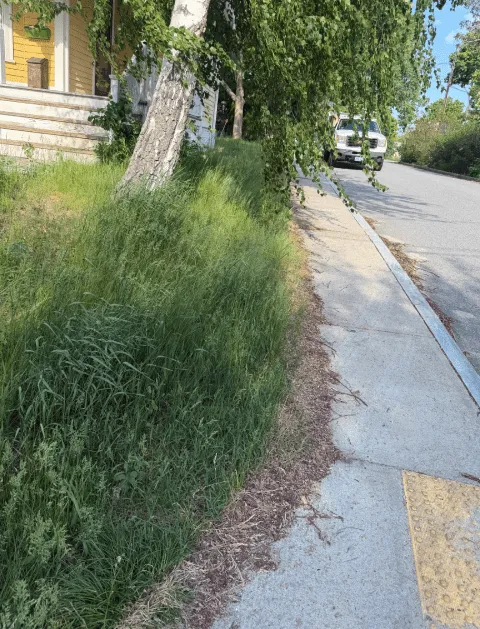 work photo from orteltlandscaping.com