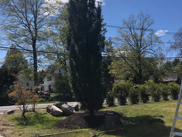 Kenny's Landscaping and Construction researched project photo