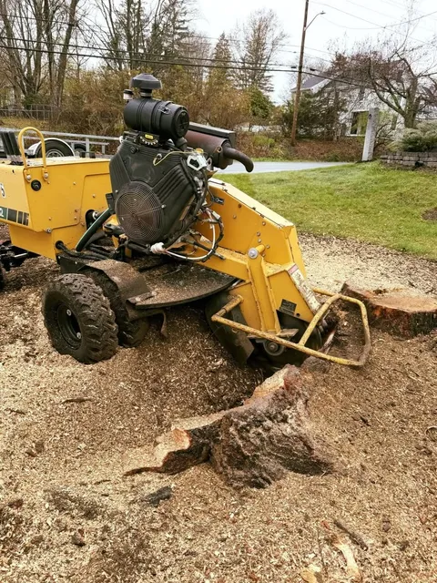 work photo from dcwoodservices.com