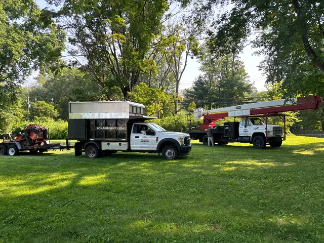 BCK Arborist work photo