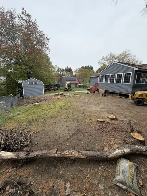 Residential yard with cut tree trunks