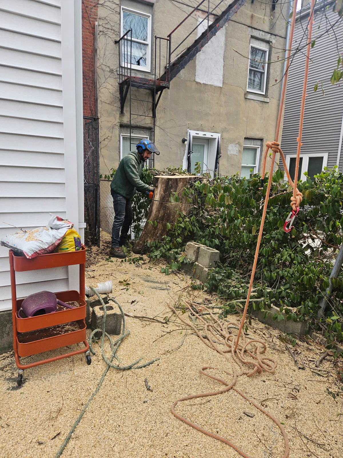 work photo from Google listing