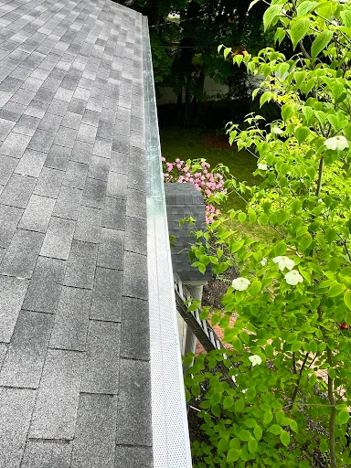 Review photo by Emily Gilligan