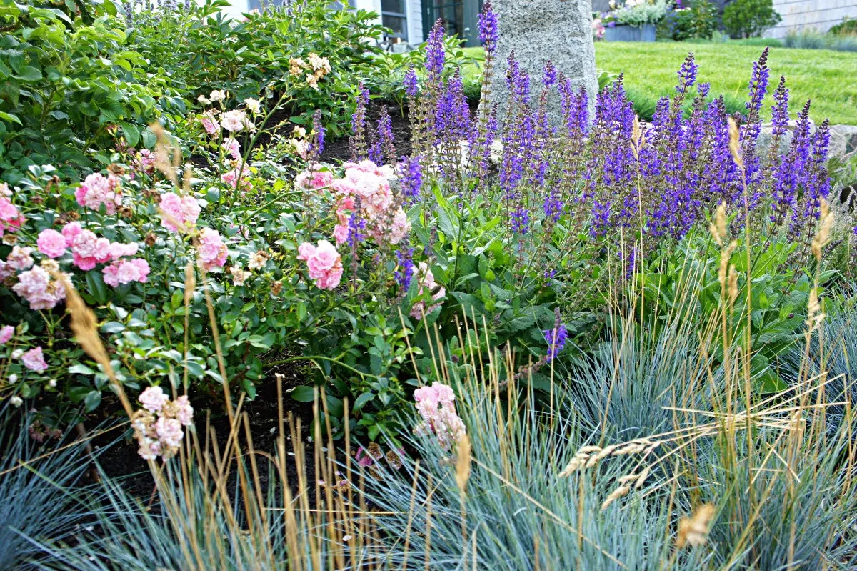 The Patio Company