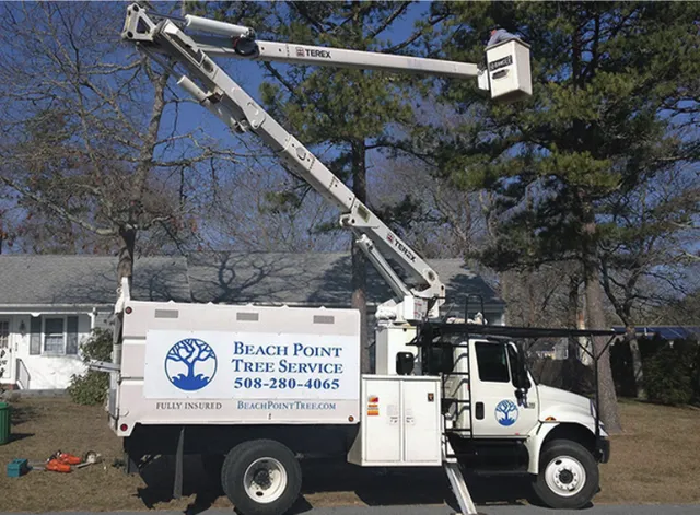 Beach Point Tree Service work photo