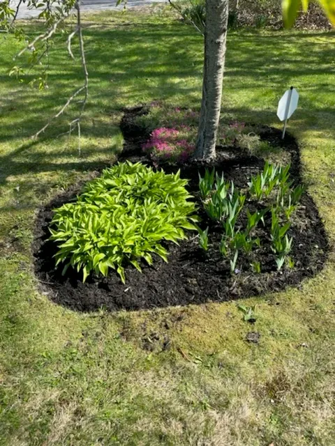 work photo from zggardens.com