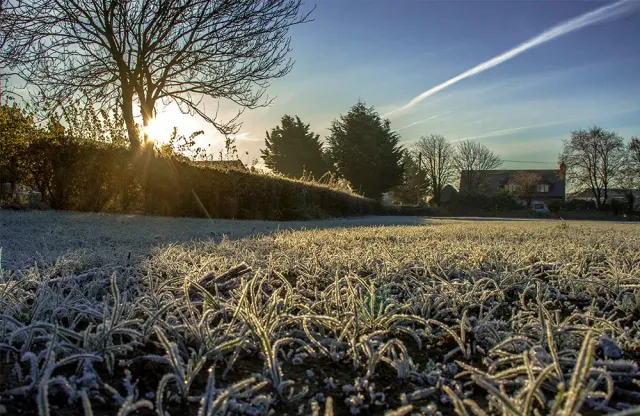 How to winterize your lawn in CT