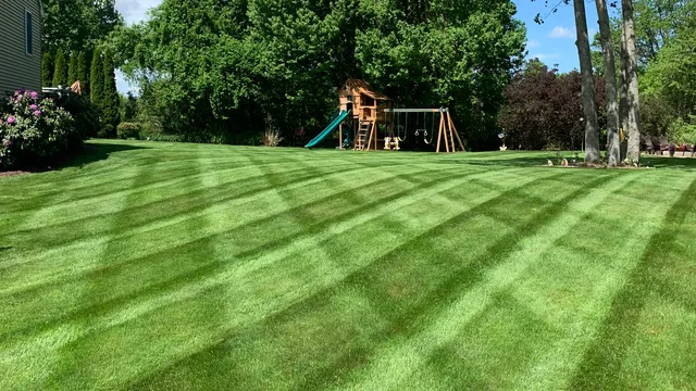 JT’s Lawncare LLC work photo
