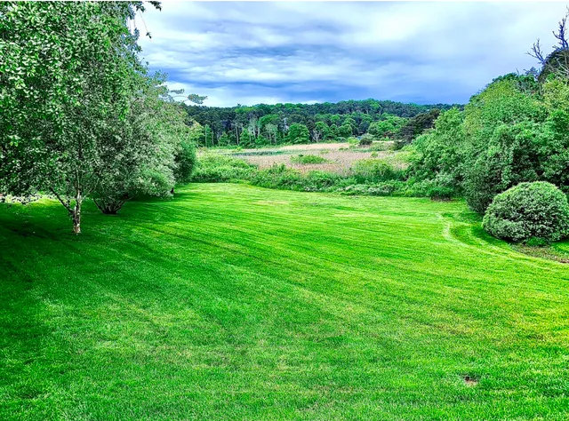 Lower Cape Lawn & Yard Care work photo