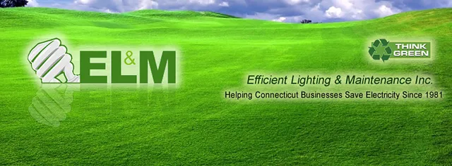 Efficient Lighting & Maintenance work photo