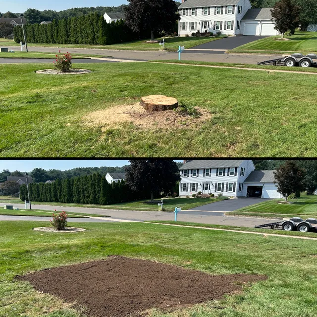 Stump "OFF" LLC Stump Grinding work photo