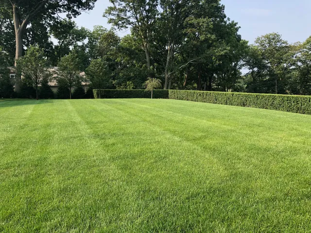 Tripodi Landscaping work photo