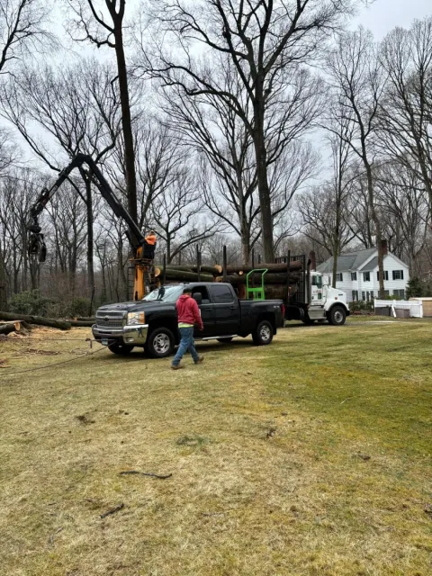 work photo from lifetreeservicesllc.com