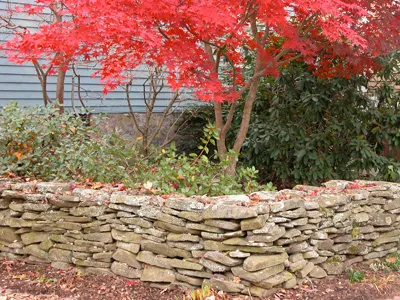 work photo from siriuslandscapes.com