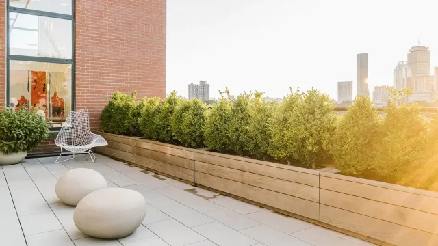 Michael D'Angelo Landscape Architecture LLC researched project photo