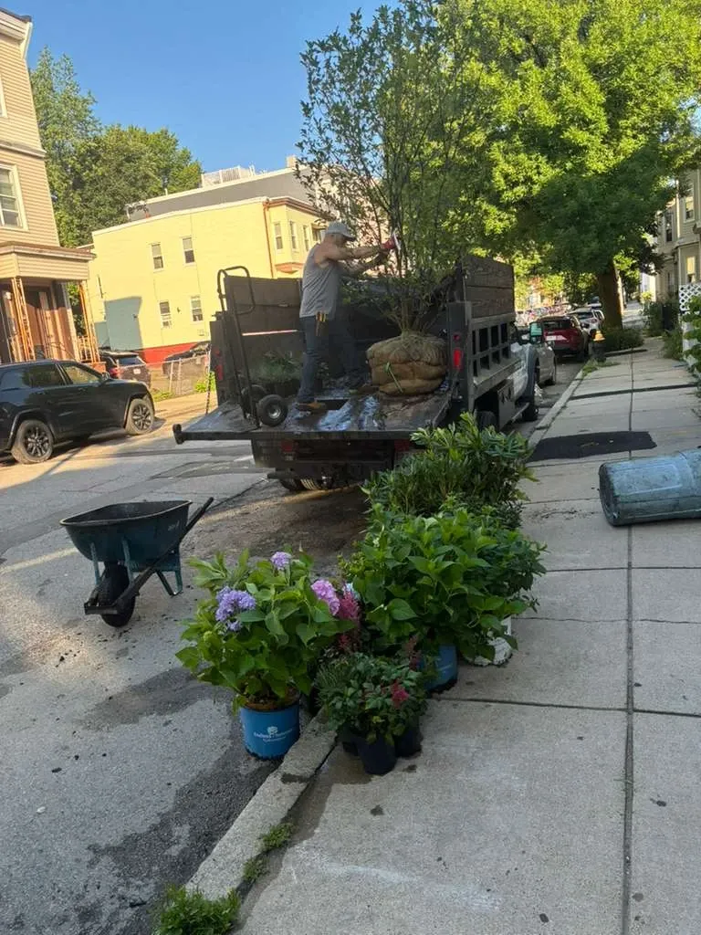 work photo from ramostreeplanting.com