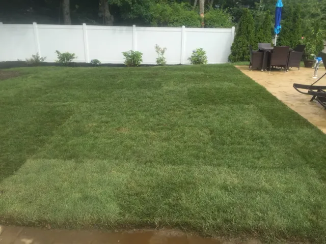 Sod Installation