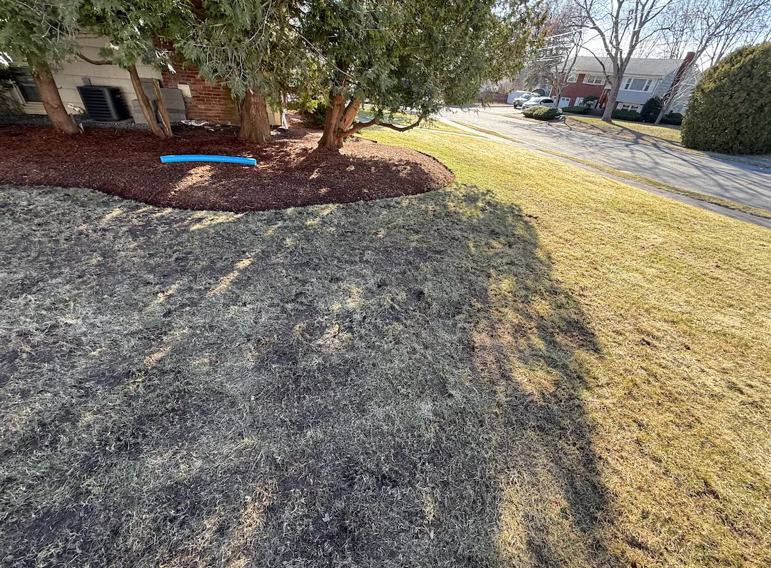 Foundation Mulch Refresh