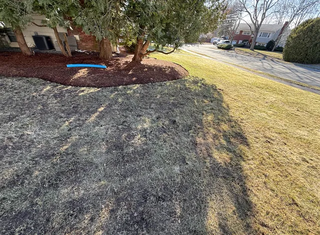 Foundation Mulch Refresh