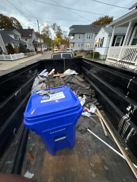 Junk Removal Pereira LLC work photo